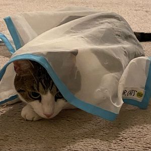 Meet your Posher, Dae jin